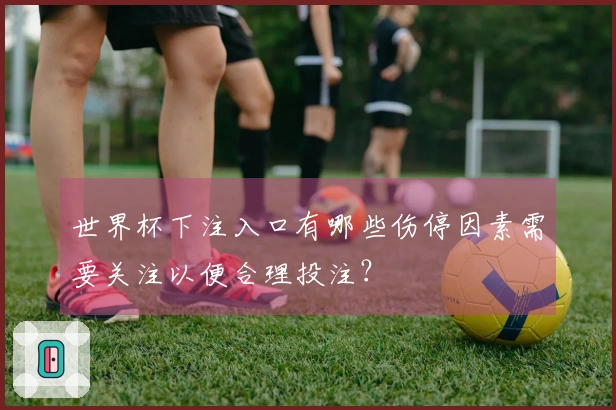 世界杯下注入口有哪些伤停因素需要关注以便合理投注？